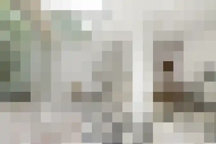 Bankven 37 Goirle thumbnail 6