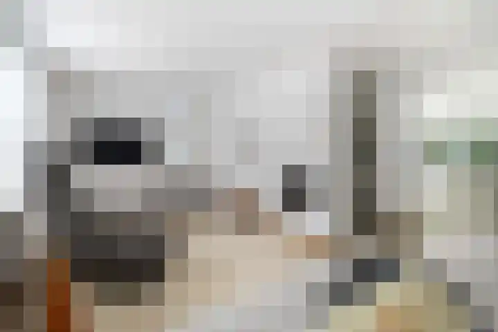 Bankven 37 Goirle thumbnail 7