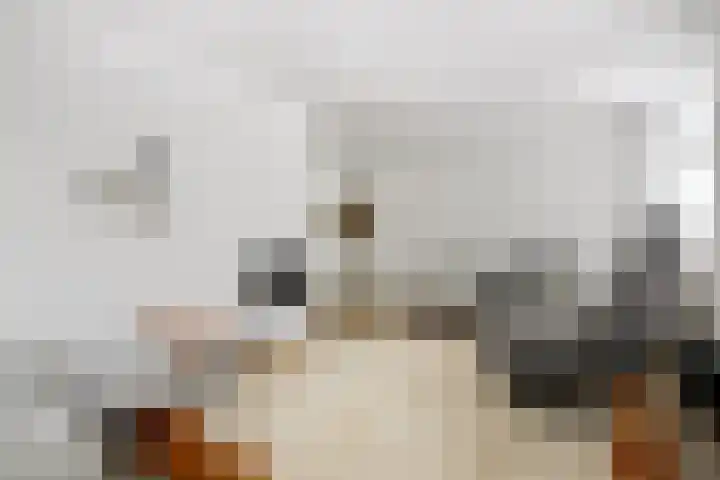 Bankven 37 Goirle thumbnail 8