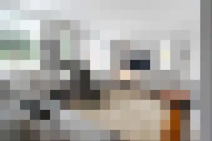 Bankven 37 Goirle thumbnail 9