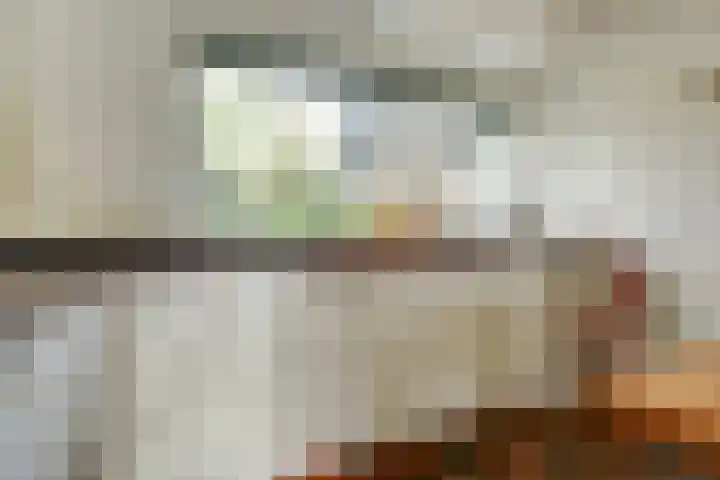 Bankven 54 Goirle thumbnail 9
