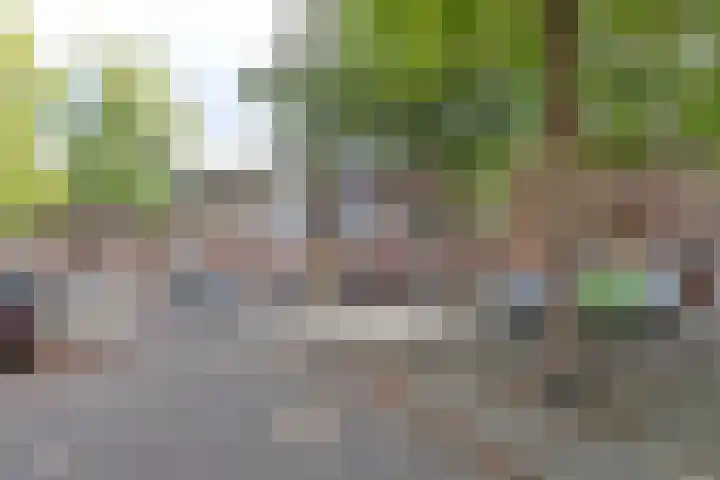 Bankwerkerij 100 Amsterdam thumbnail 19