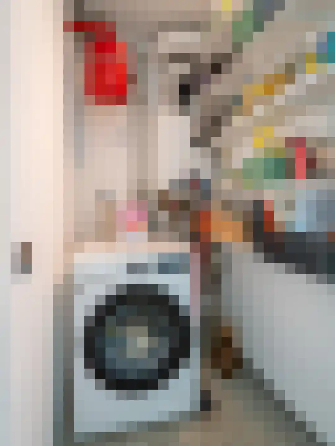 Bankwerkerij 172 Amsterdam thumbnail 13