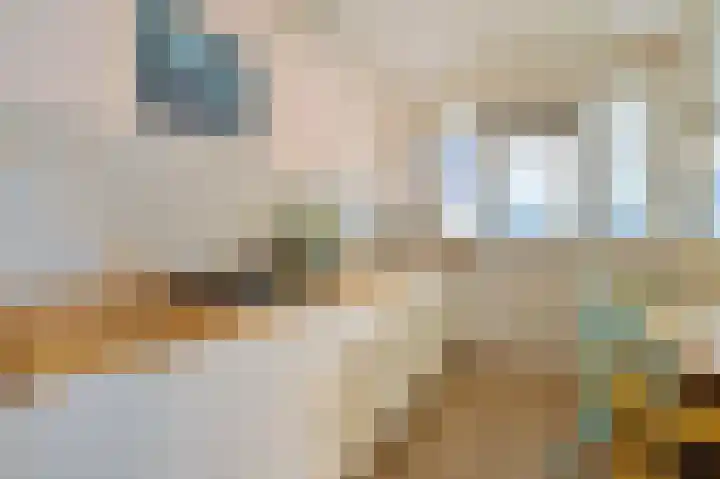 Bankwerkerij 41 Amsterdam thumbnail 23