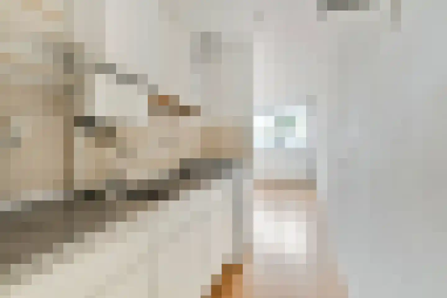 Bankwerkerij 7 Amsterdam thumbnail 13