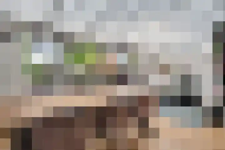 Banmolen 17 Herten thumbnail 12