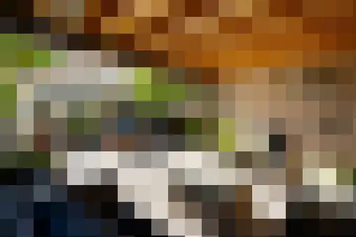 Banmolen 17 Herten thumbnail 22