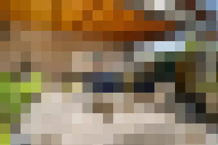 Banmolen 17 Herten thumbnail 23