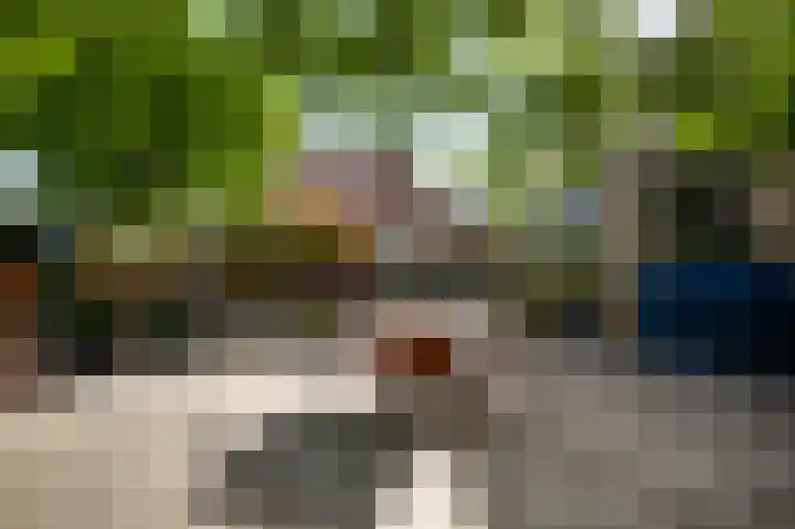 Banmolen 17 Herten thumbnail 24