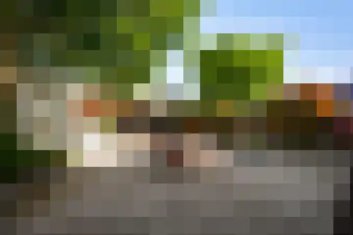 Banmolen 17 Herten thumbnail 25