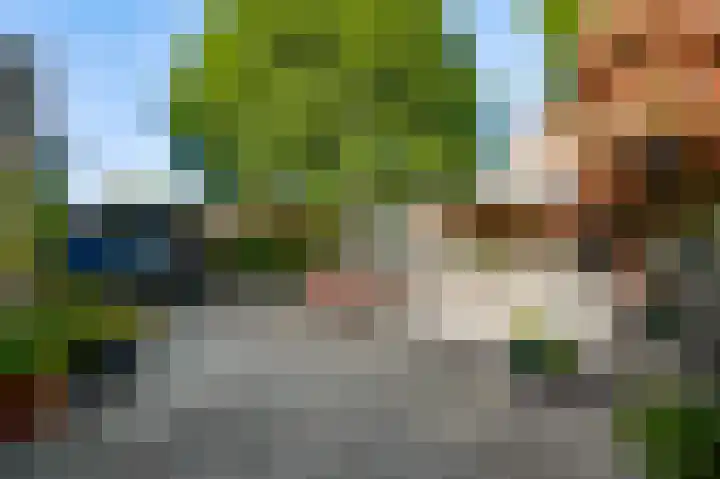 Banmolen 17 Herten thumbnail 26