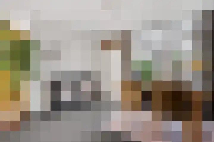 Banmolen 17 Herten thumbnail 7