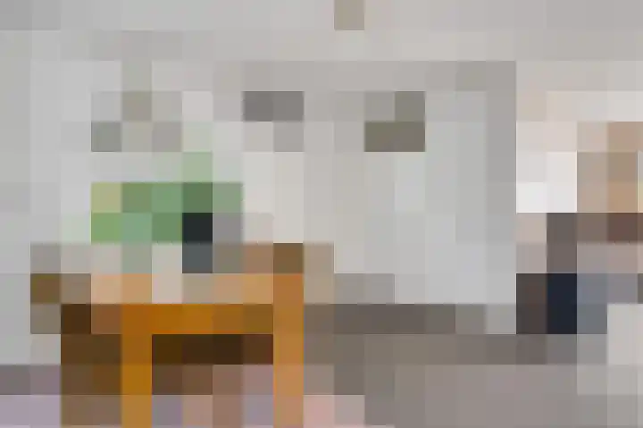 Banmolen 17 Herten thumbnail 8