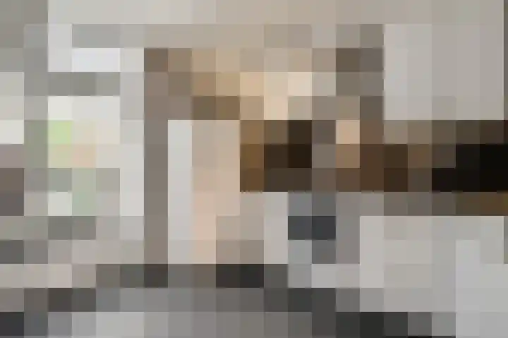 Banmolen 17 Herten thumbnail 9