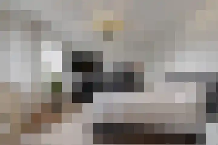 Banmolen 26 Herten thumbnail 13