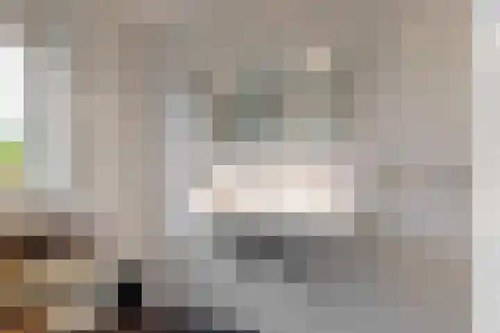 Banmolen 26 Herten thumbnail 20