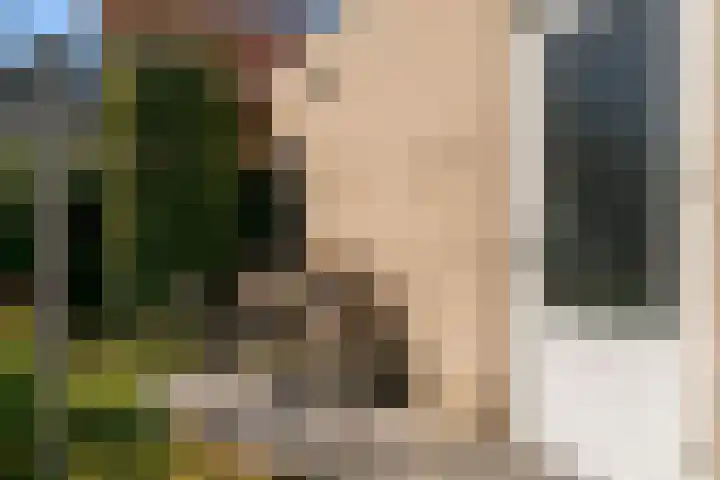 Banmolen 26 Herten thumbnail 22