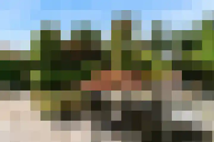 Banmolen 26 Herten thumbnail 23