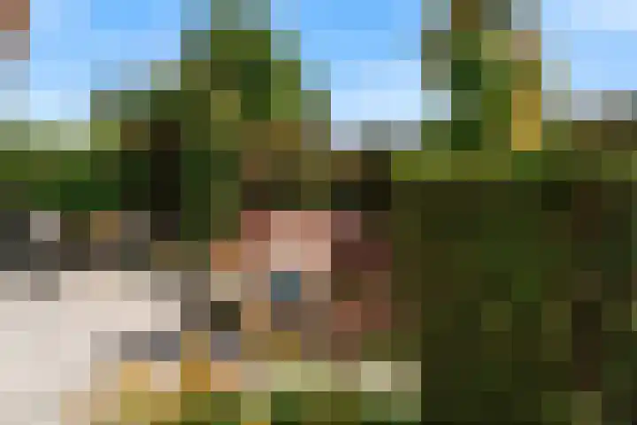 Banmolen 26 Herten thumbnail 24
