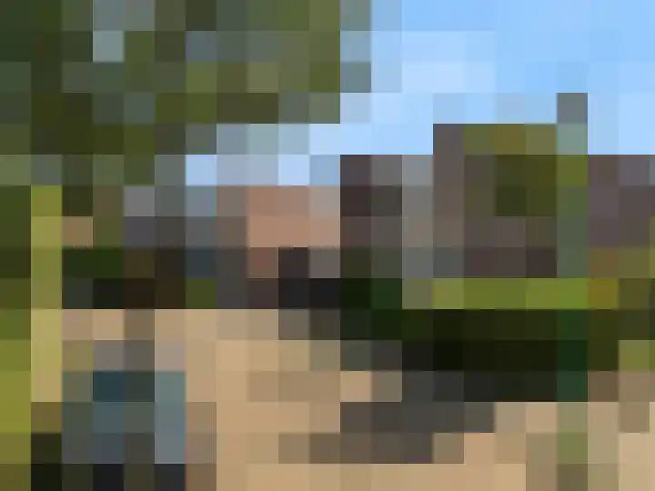Banmolen 26 Herten thumbnail 28