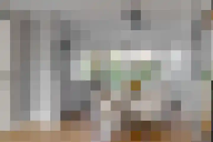 Banmolen 26 Herten thumbnail 7