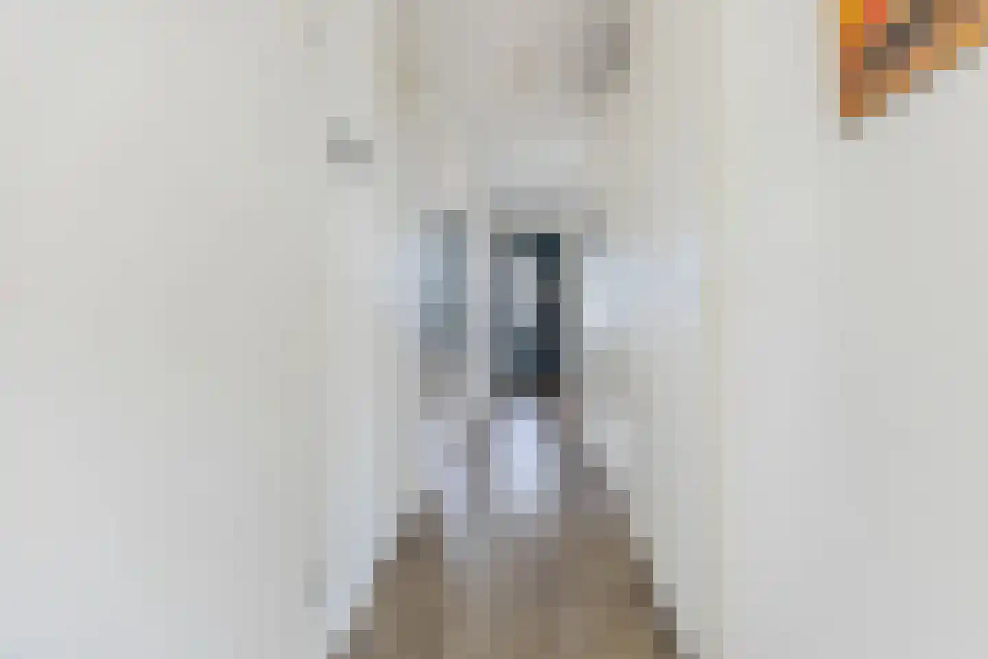 Banne Buikslootlaan 111 B Amsterdam thumbnail 12