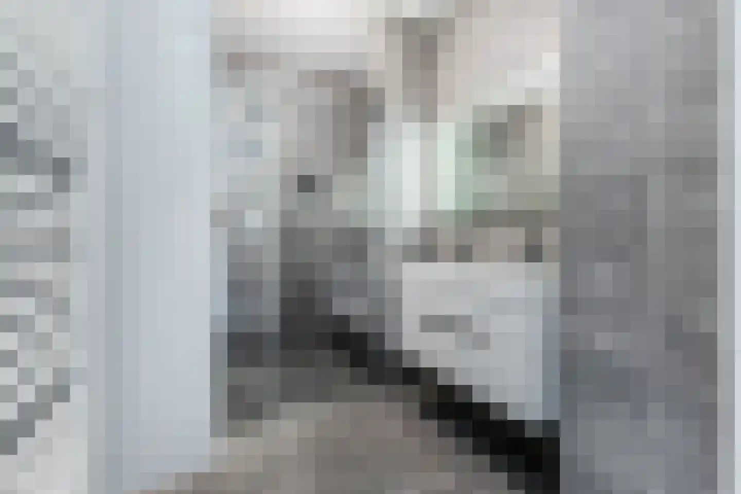 Banne Buikslootlaan 111 B Amsterdam thumbnail 19