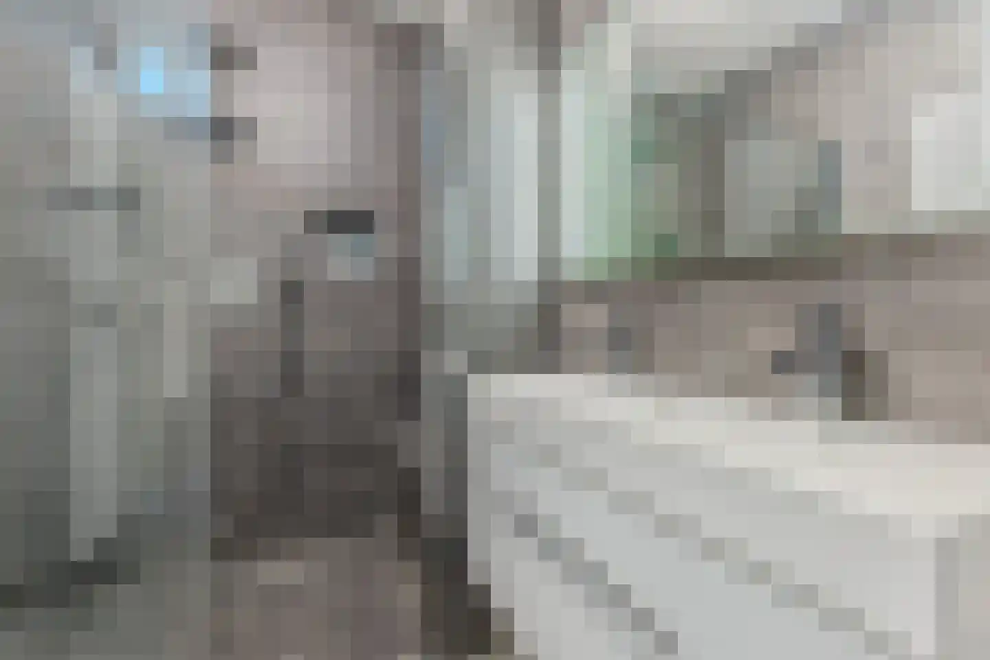 Banne Buikslootlaan 111 B Amsterdam thumbnail 20
