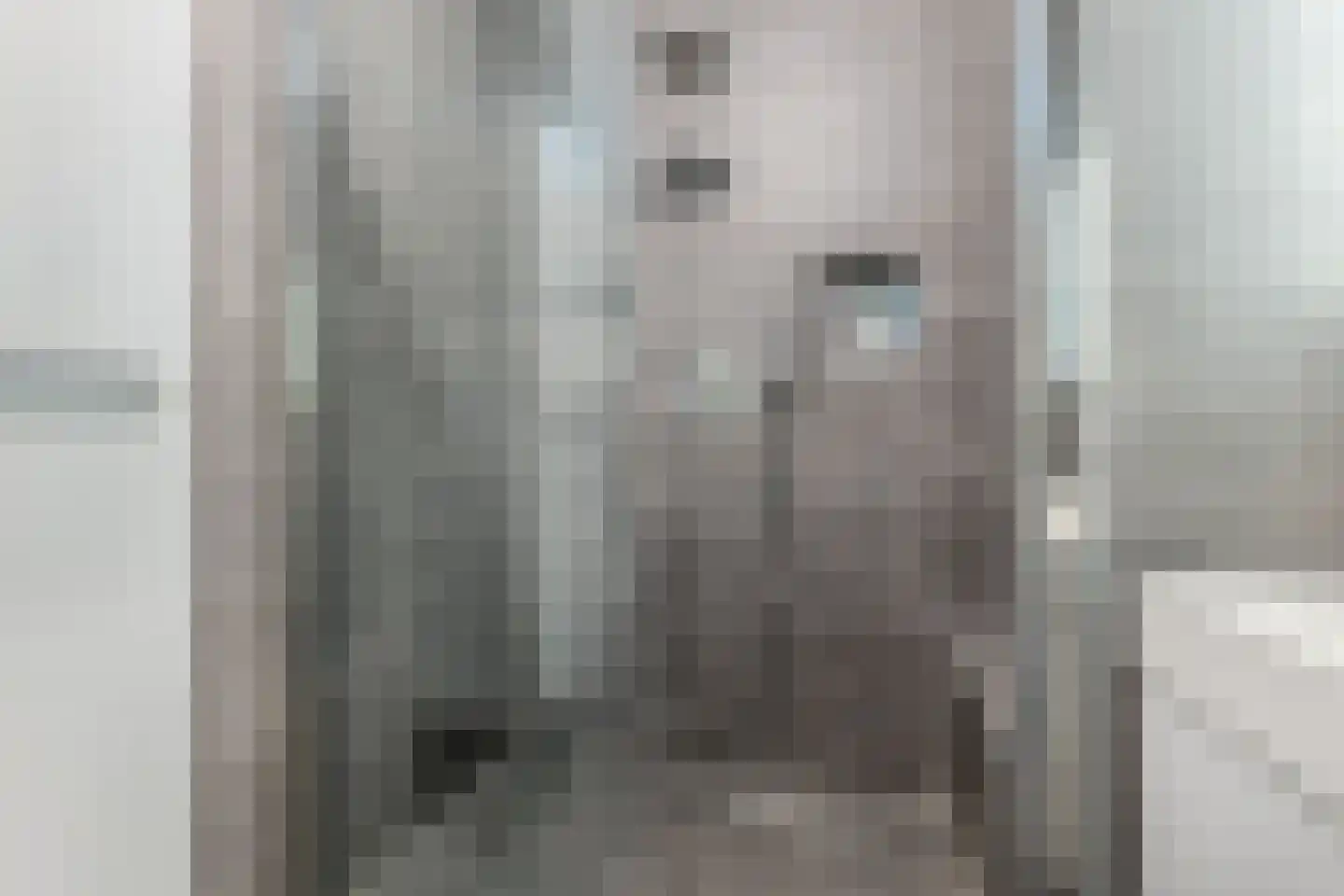 Banne Buikslootlaan 111 B Amsterdam thumbnail 21