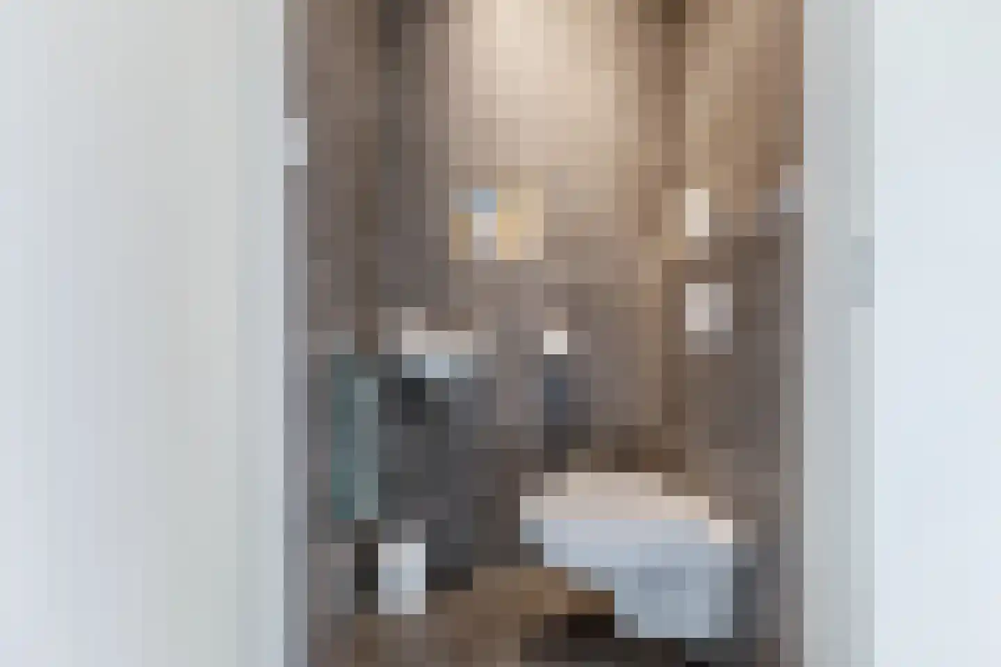 Banne Buikslootlaan 111 B Amsterdam thumbnail 22