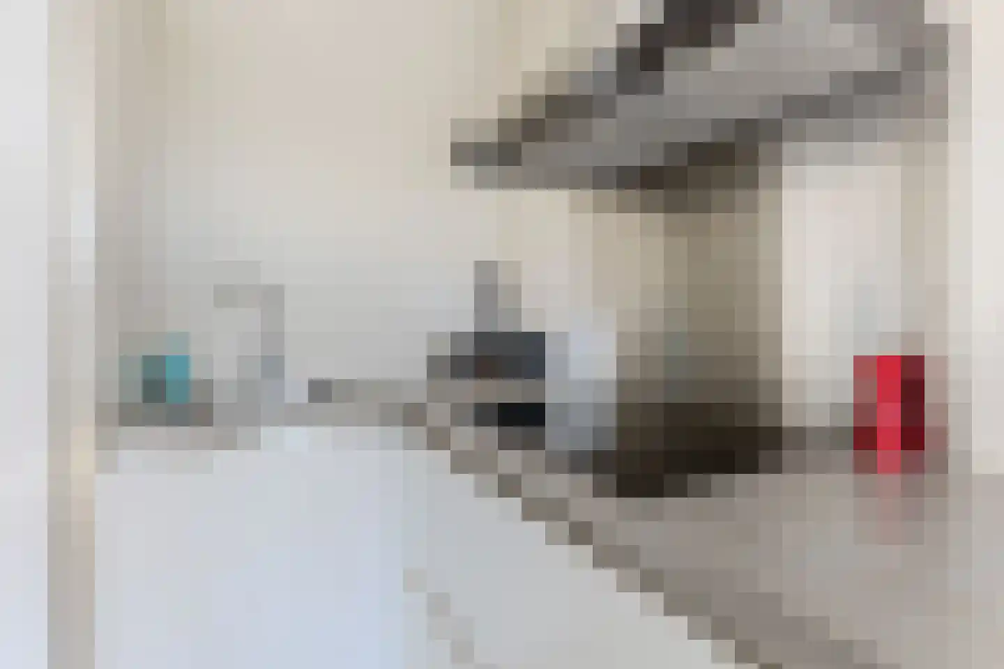 Banne Buikslootlaan 111 B Amsterdam thumbnail 8