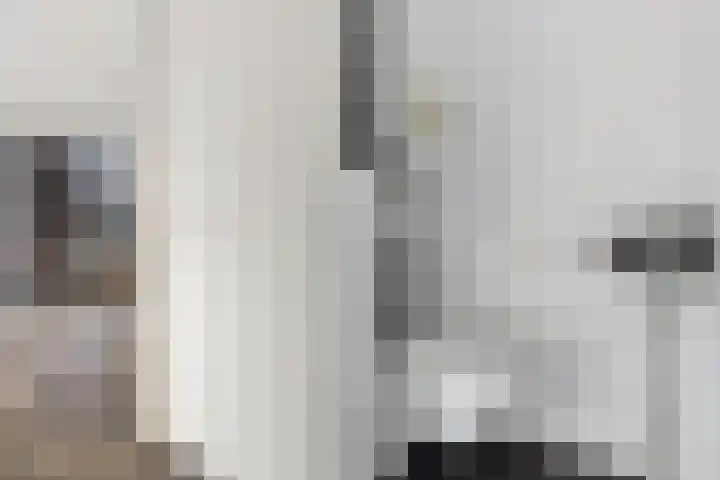 Banne Buikslootlaan 113 B Amsterdam thumbnail 13