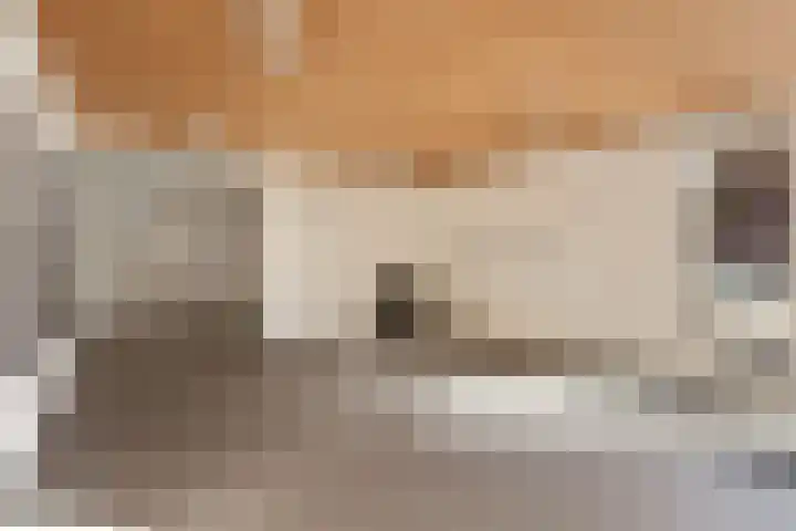 Banne Buikslootlaan 113 B Amsterdam thumbnail 15