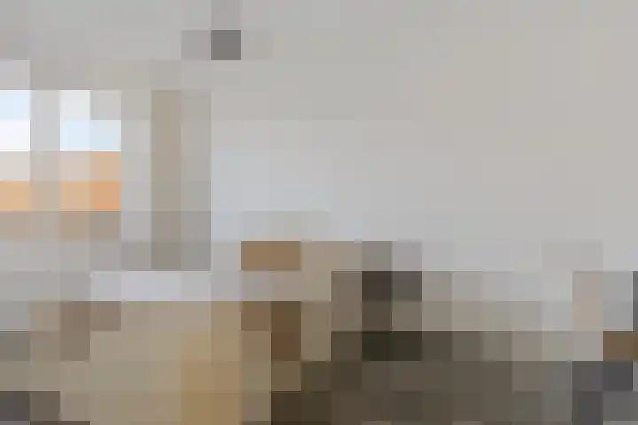 Banne Buikslootlaan 113 B Amsterdam thumbnail 8