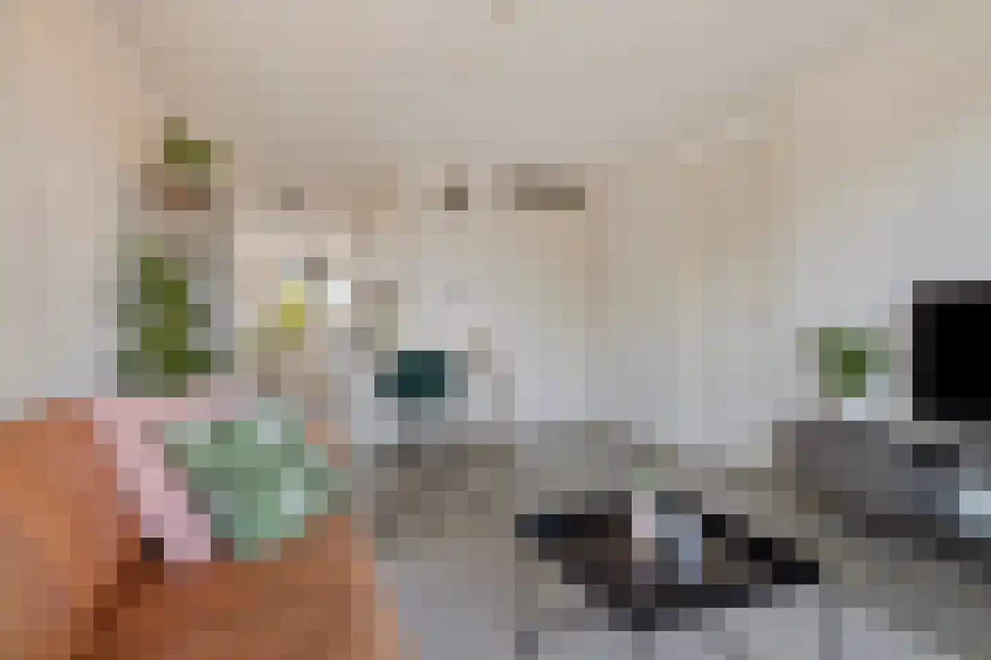 Banne Buikslootlaan 115 E Amsterdam thumbnail 11