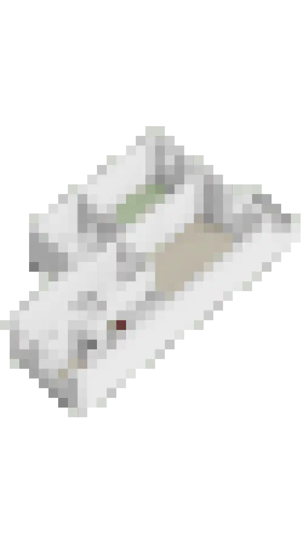 Banne Buikslootlaan 115 E Amsterdam thumbnail 30