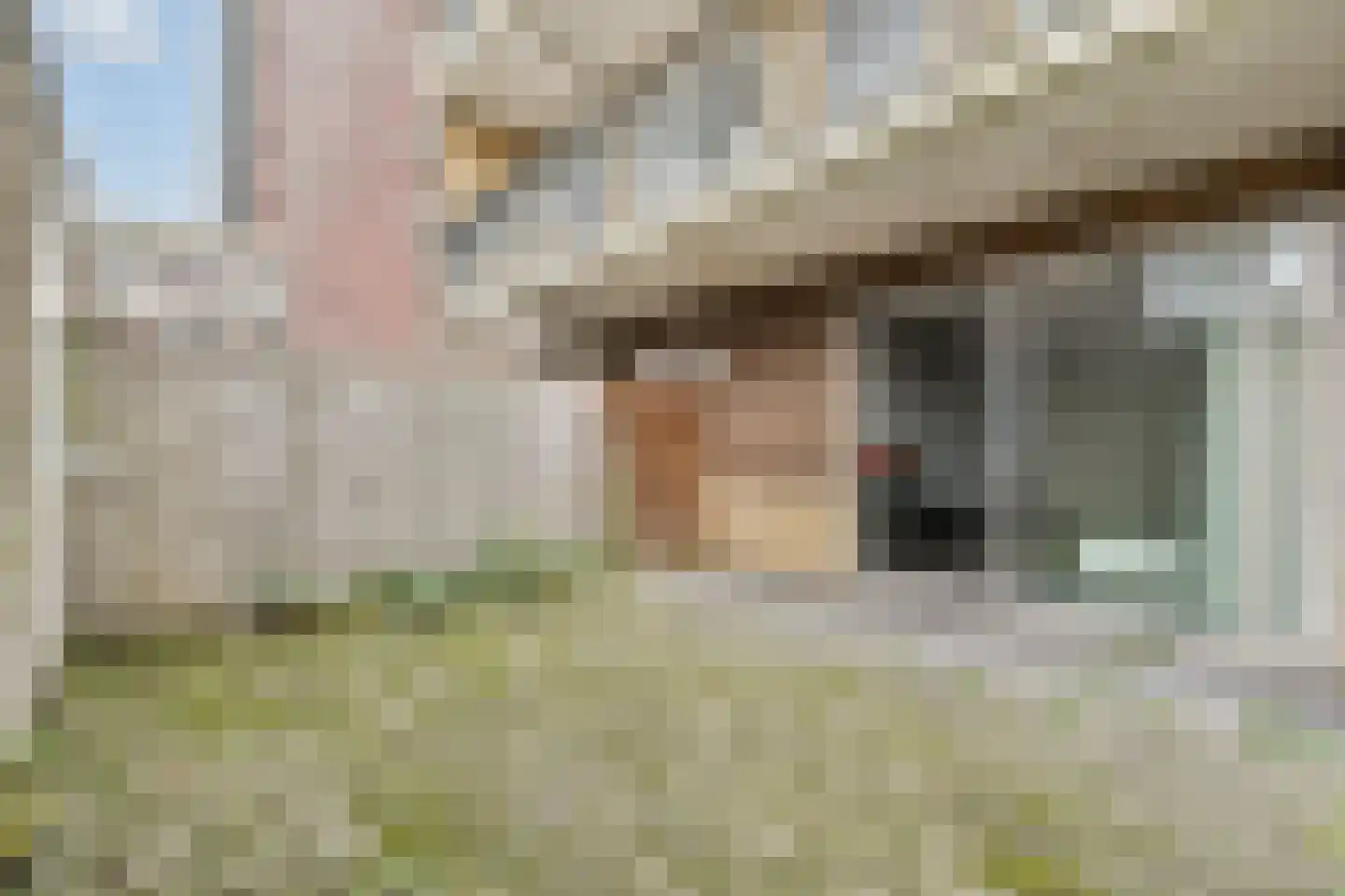 Banne Buikslootlaan 125 Amsterdam thumbnail 10