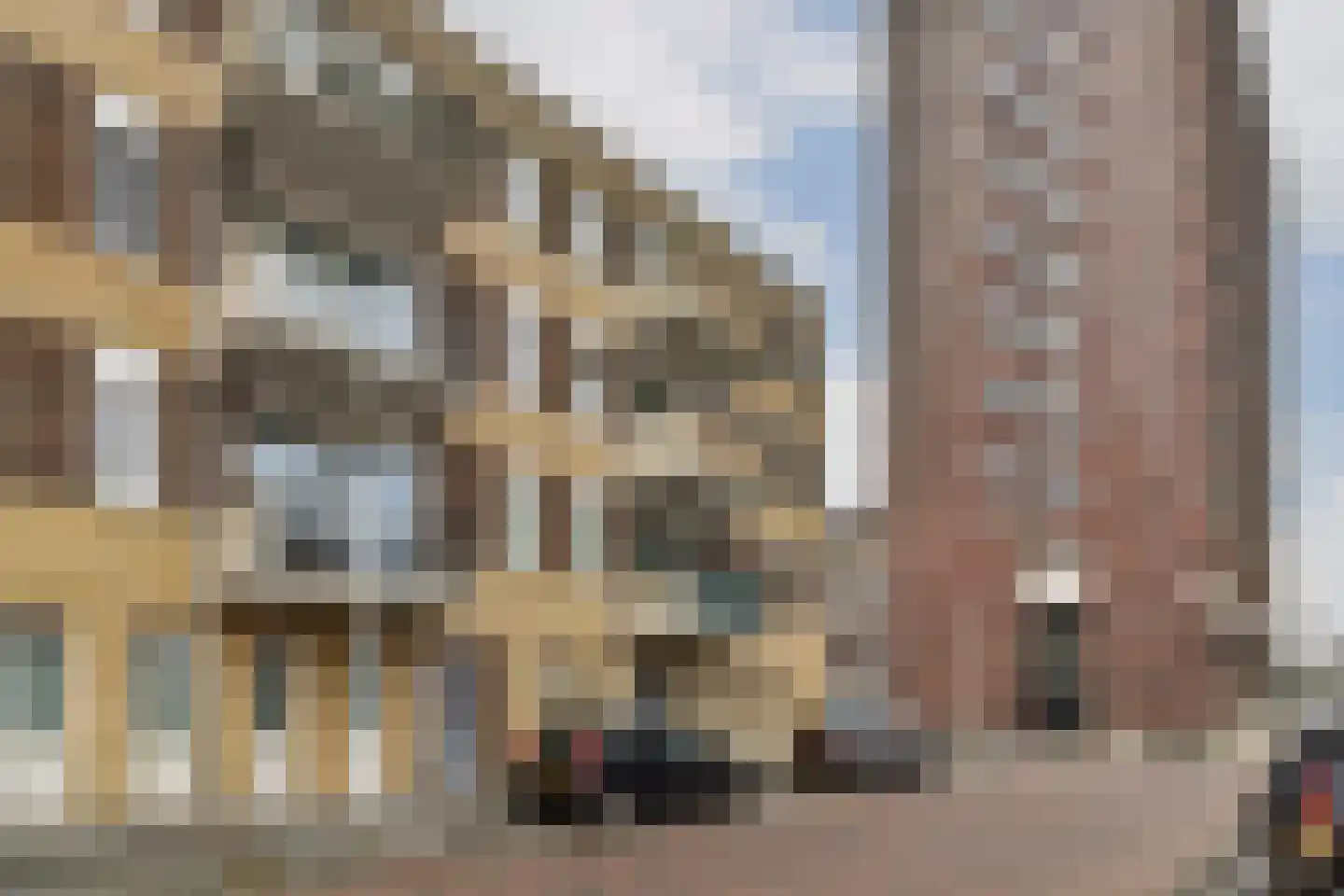 Banne Buikslootlaan 125 Amsterdam thumbnail 18