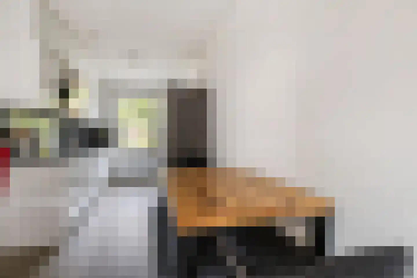 Banneplein 117 Amsterdam thumbnail 10