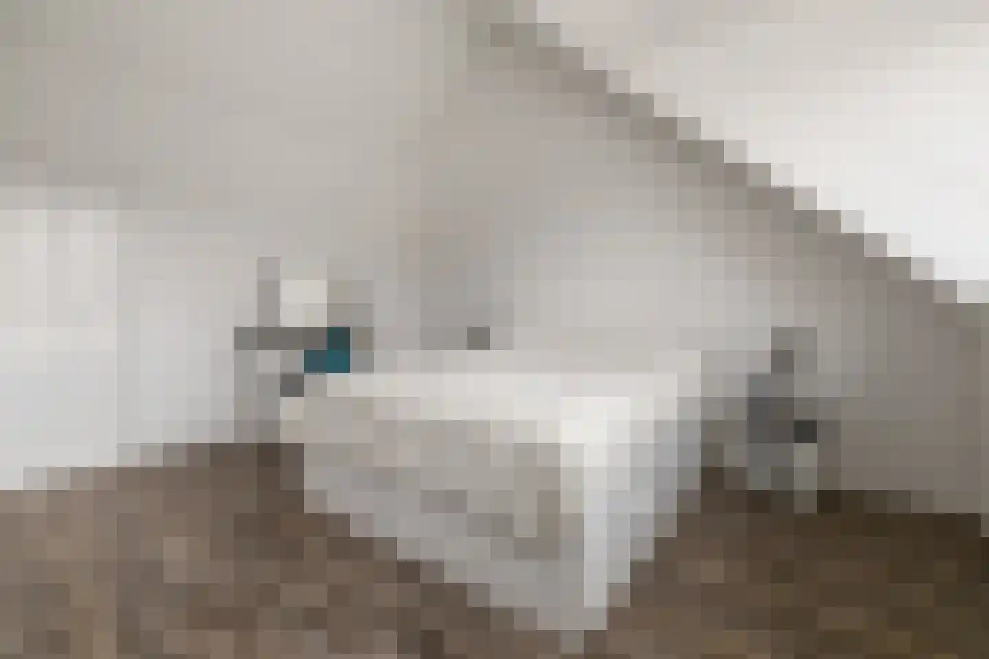 Banneplein 117 Amsterdam thumbnail 21