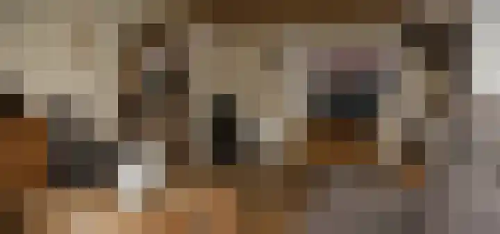 Bannerheerstraat 1 Zeddam thumbnail 12