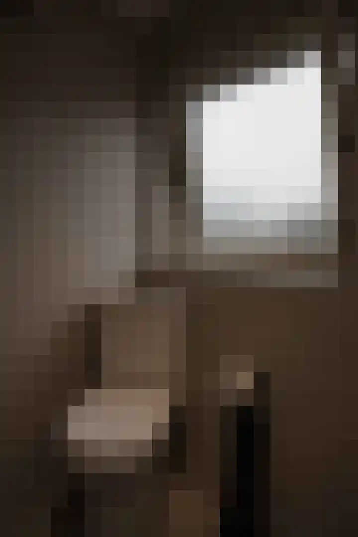 Bannerheerstraat 1 Zeddam thumbnail 20