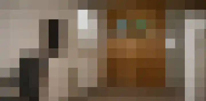 Bannerheerstraat 1 Zeddam thumbnail 21