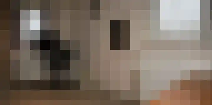 Bannerheerstraat 1 Zeddam thumbnail 22