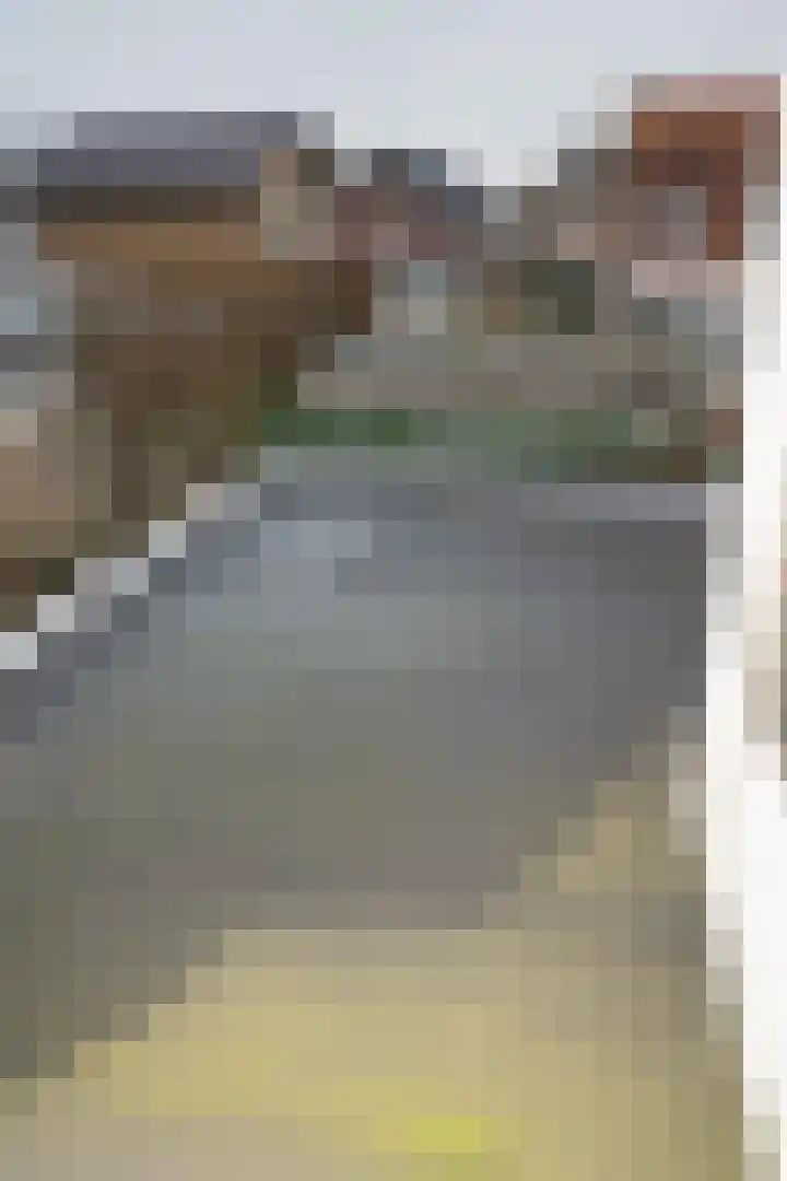 Bannerheerstraat 1 Zeddam thumbnail 30