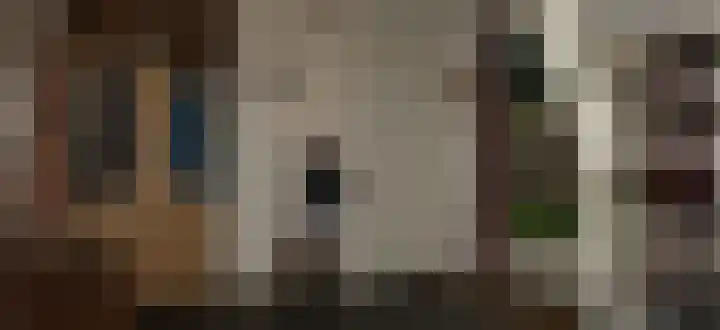 Bannerheerstraat 1 Zeddam thumbnail 4