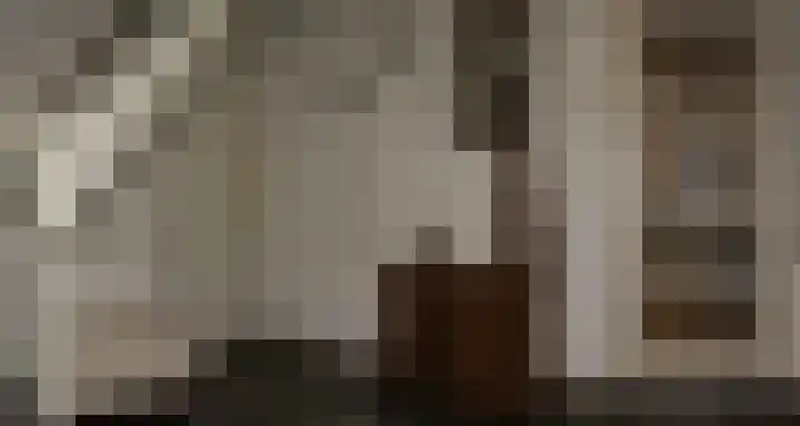 Bannerheerstraat 1 Zeddam thumbnail 5