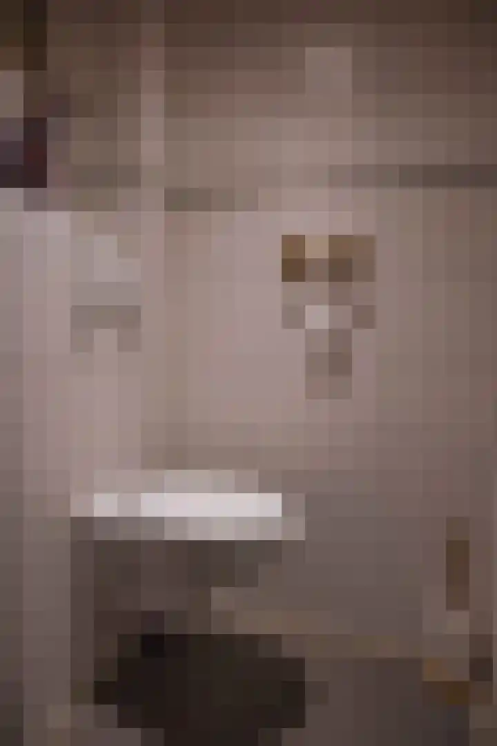 Bannerheerstraat 1 Zeddam thumbnail 6