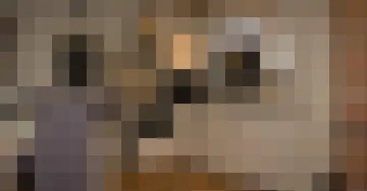 Bannerheerstraat 1 Zeddam thumbnail 7
