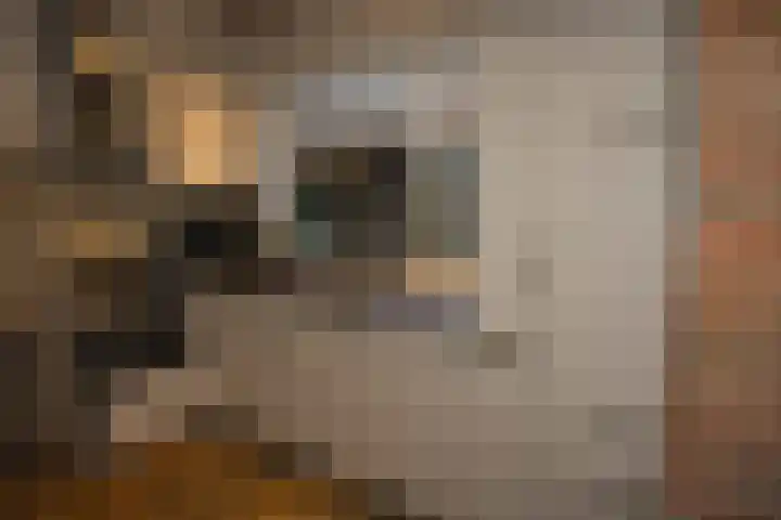 Bannerheerstraat 1 Zeddam thumbnail 8